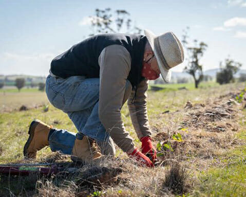 webinar-planting 2